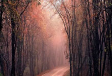 德天空:法兰克福有信心留下格策,球员也希望留队.