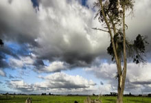 C7:德甲-安东乌龙沙博特破门 多特1-2遭斯图加特双杀.