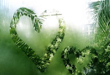 一场综合经济效益近十亿的体育狂欢盛宴——国足比赛经济学.