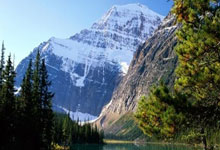 [澳网]十连胜德米纳尔 辛纳挺进男单四强.